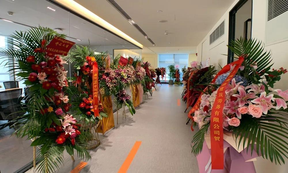 蓄力新征程，携手创新篇